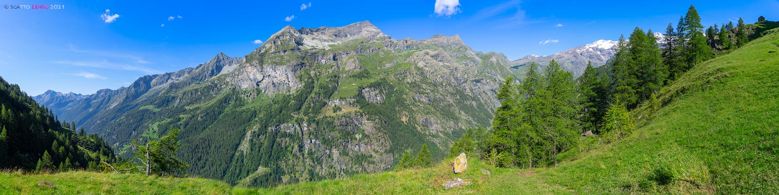 Panorama